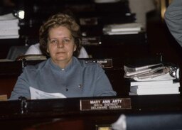 House Floor Desk