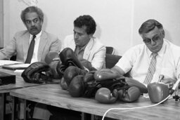 Special Committee on Boxing Meeting, Conference Room 302, Members