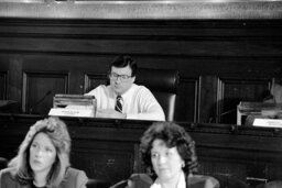 Public Hearing, Select Committee on Domestic Violence, Majority Caucus Room, Members