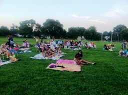 Movie in the Park, District 170, Constituents