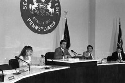 Business and Economic Development Committee Hearing, City Hall, Members