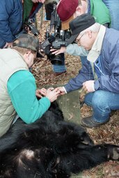 Road Trip of Game and Fisheries Committee, Bear, Cameraman, Members