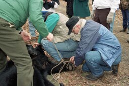 Road Trip of Game and Fisheries Committee, Bear, Members