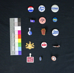 These pins include those campaigning for House of Representatives, attorney general, governor, clubs, congressman, and social clubs. As well as an allegator and recycling support.