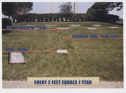 Photograph including measurements of the Soldier's Grove
