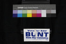 Sponge, Vote for Ray Bunt, State Representative