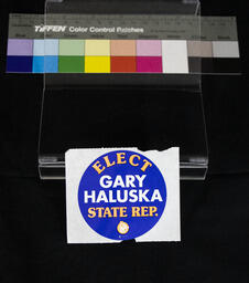 Sticker, Elect Gary Haluska State Rep.